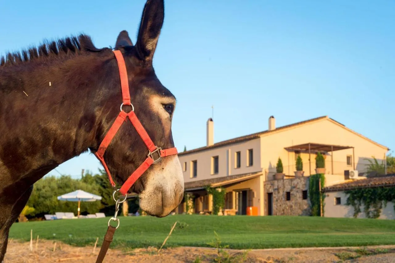 Bed & Breakfast Can Casi House Parlava Spagna
